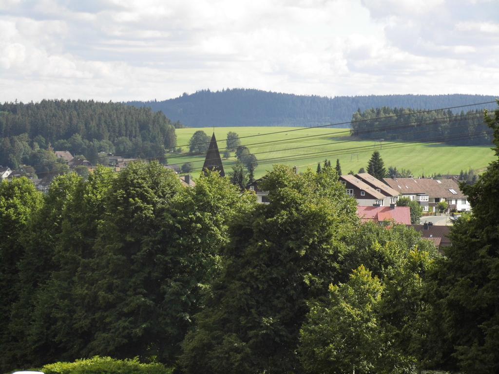 Fewo Schroeder - Harzflair - Inklusive Bettwaesche Braunlage Exteriör bild